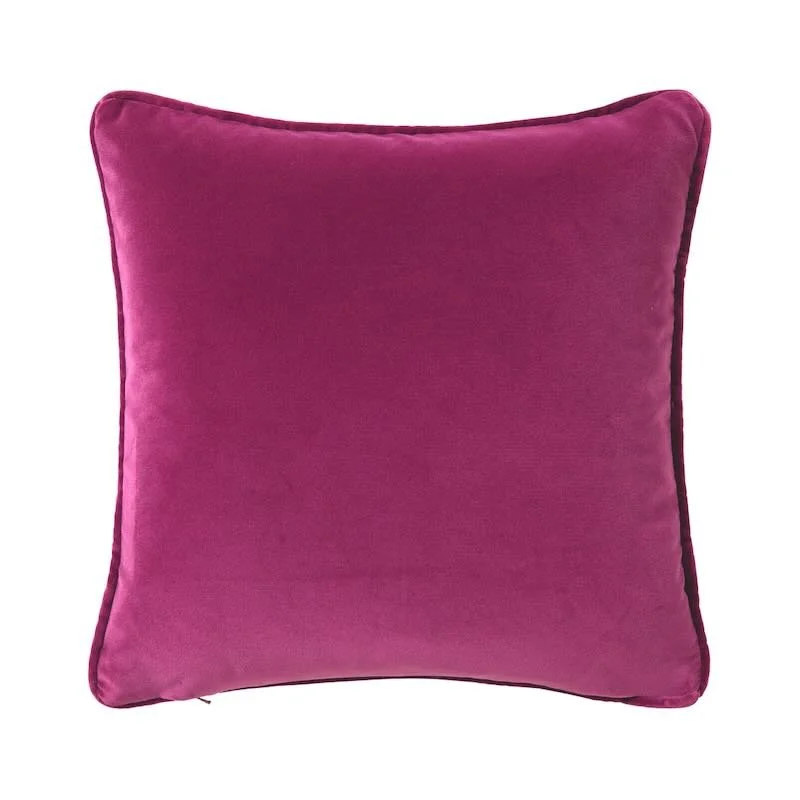 Decorative Pillows for Living Room MakeoverDivan Anemone Decorative Pillows by Iosis