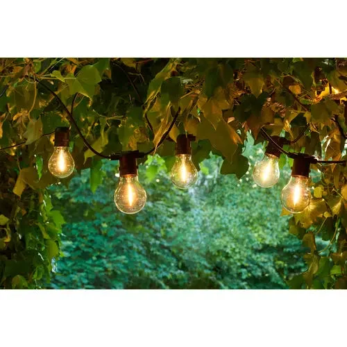 Twinkling String Lights for a Magical AtmosphereSirius Tobias Festival Lights Starter Set, Clear