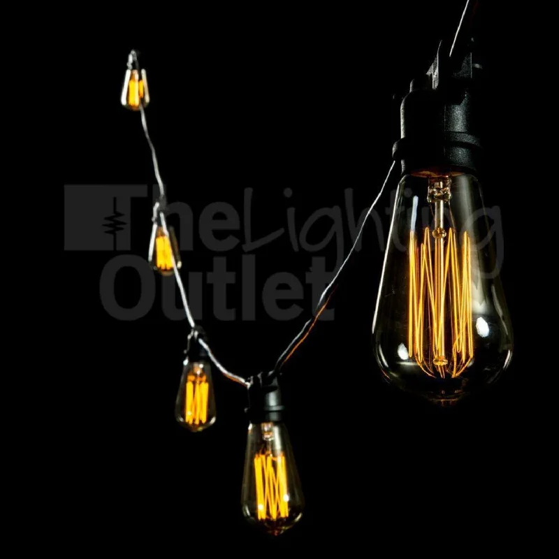 Industrial Ceiling - Mounted Lighting for Assembly PlantsBlack 10 or 20 Meter Festoon Lighting 25w Pear Carbon Filament Globes included PL-20FEST + 60007-lusion