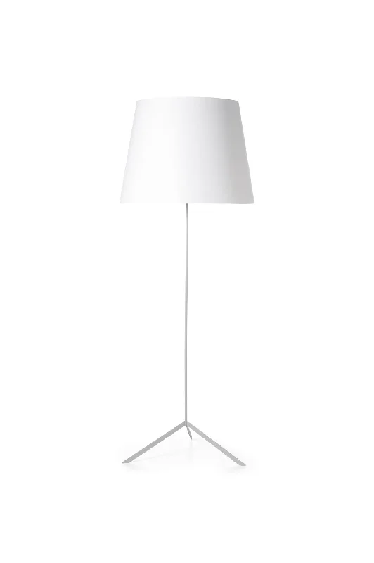 Adjustable Height Floor Lamp for Versatile Lighting NeedsDouble Shade Floor Lamp