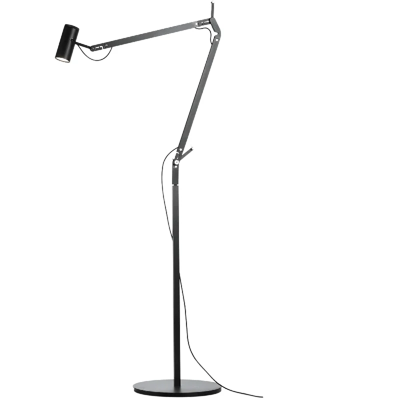 Adjustable Height Floor Lamp for Versatile Lighting NeedsPolo Floor Lamp