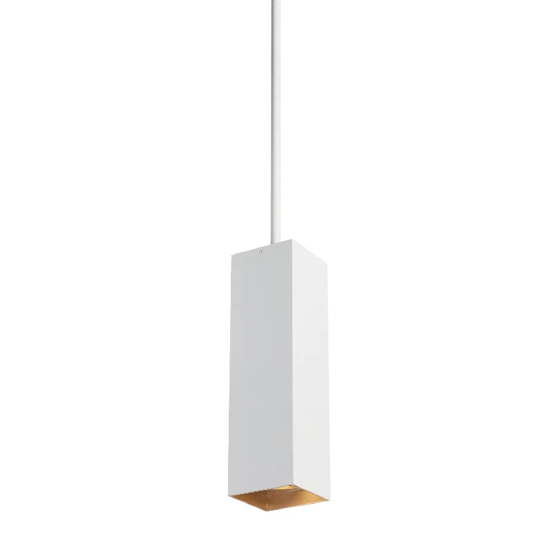 Modern Minimalist Ceiling Lights for Contemporary InteriorsExo LED Pendant