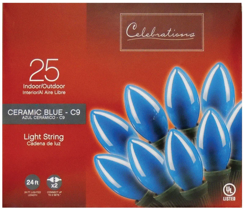 Waterproof String Lights for Patio DecorCelebrations  Incandescent  Blue  25 count String Lights  24 ft.