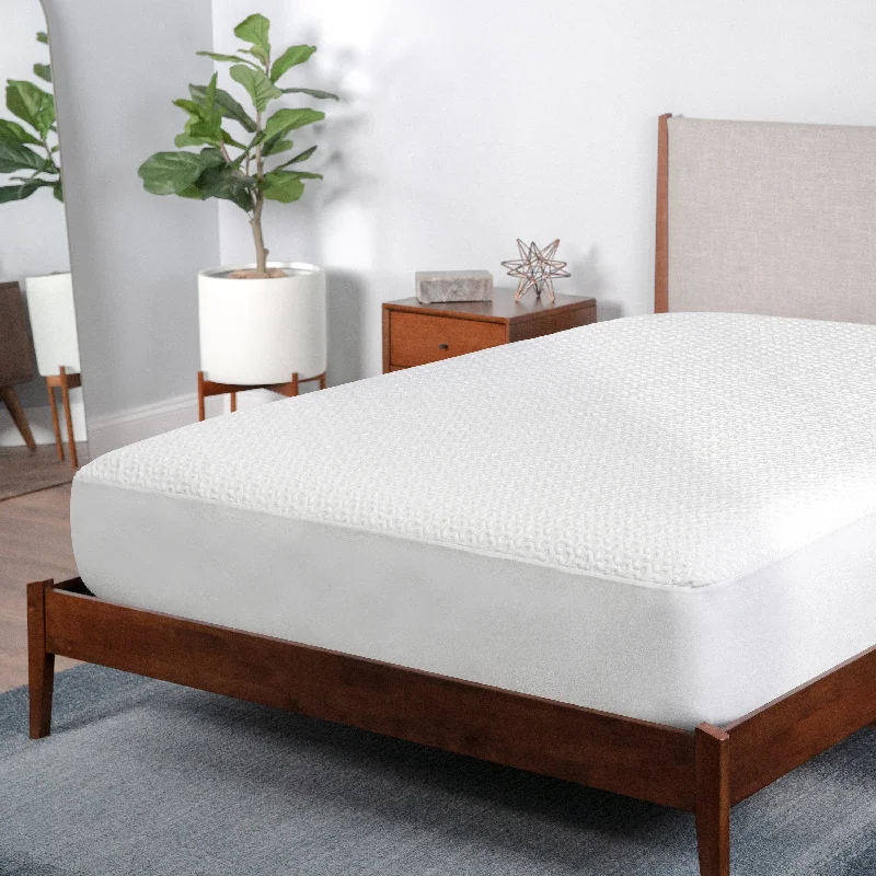 Polyester - foam mattresses for budget - friendly optionsBEDGEAR Dri-Tec Mattress Protector Polyester - foam mattresses for budget - friendly optionsBEDGEAR Dri-Tec Mattress Protector