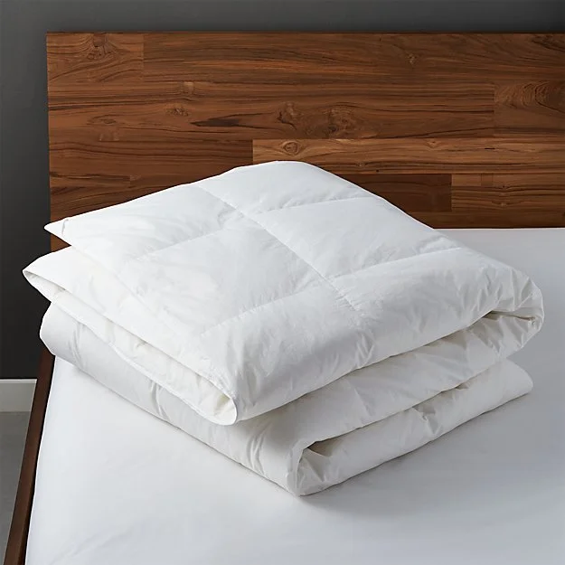 Bamboo - charcoal - filled duvets to absorb odors and regulate temperatureDuvet Insert - King Bamboo - charcoal - filled duvets to absorb odors and regulate temperatureDuvet Insert - King