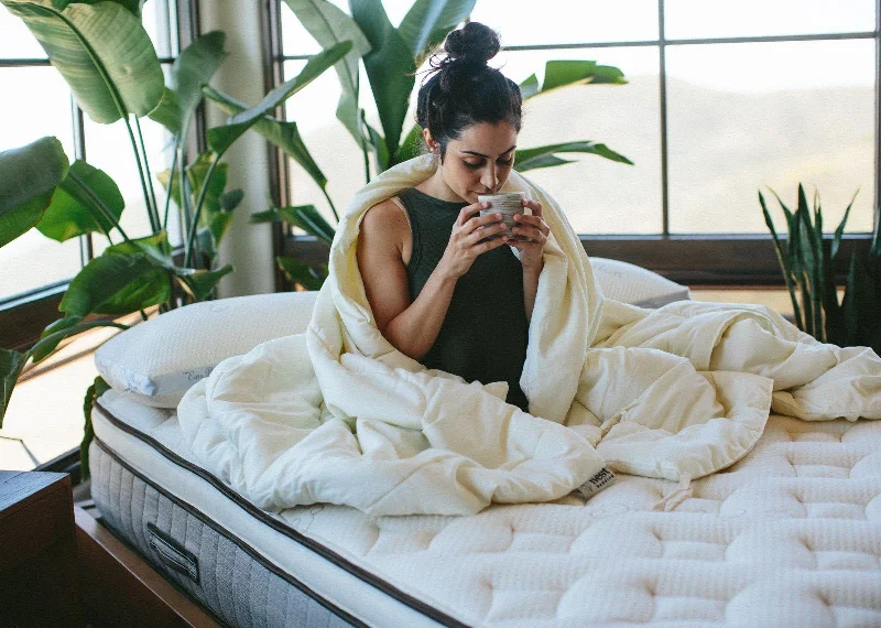 Queen - size comforters for standard queen - sized mattressesNest Bedding Washable Wool Comforter Queen - size comforters for standard queen - sized mattressesNest Bedding Washable Wool Comforter